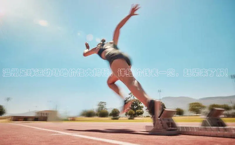 欧陆娱乐百度识图温州足球运动场地价格大揭秘，详细价钱表一览，赶紧来了解！