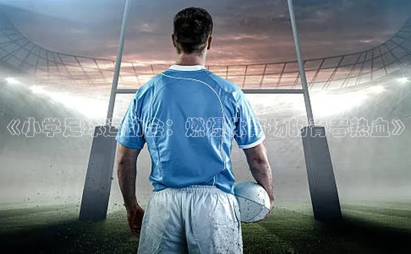 欧陆娱乐平台登录元隆雅图《小学足球运动会：燃爆体育场的青春热血》