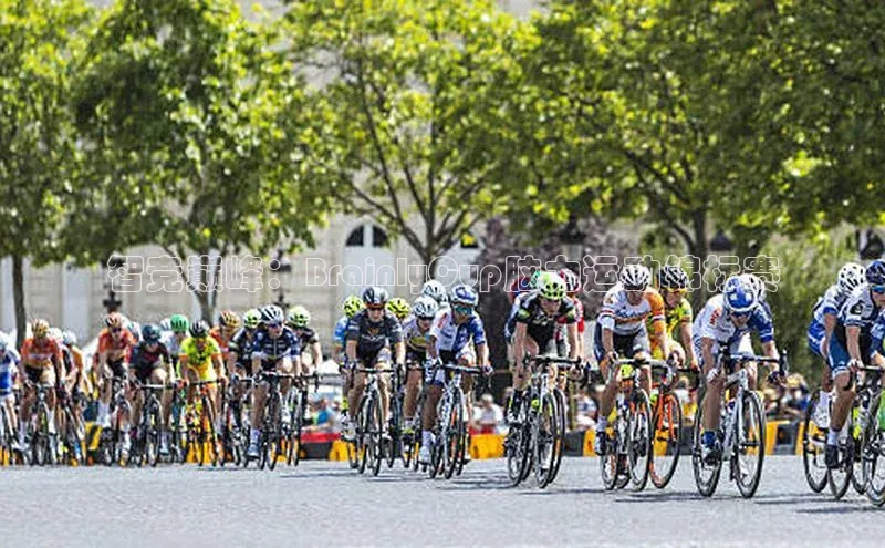 智竞巅峰：BrainlyCup脑力运动锦标赛