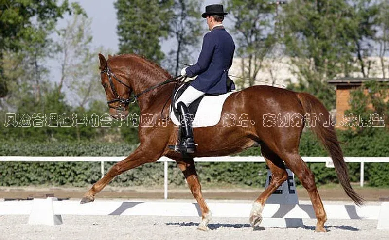 风险管理在运动会中的应用与实践：策略、案例分析与未来展望