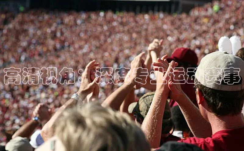 高清视角：深度专业运动赛事