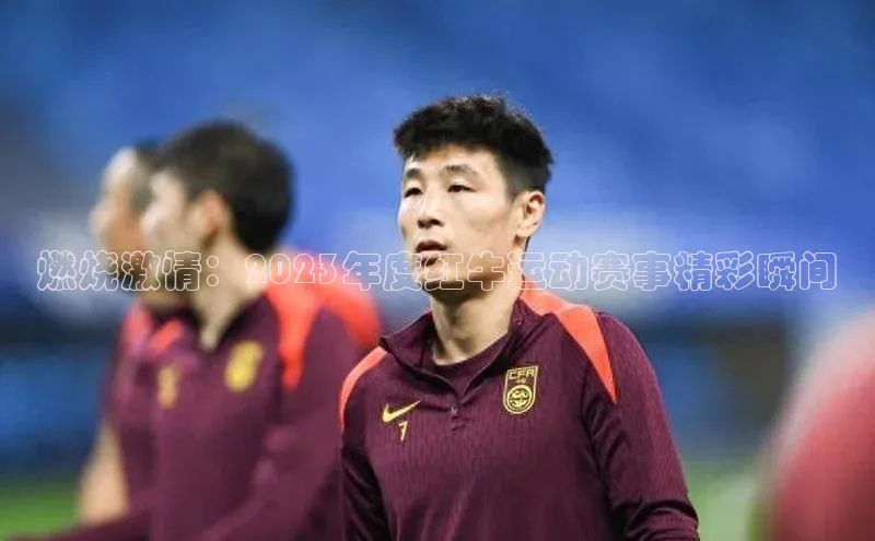 燃烧激情：2023年度红牛运动赛事精彩瞬间