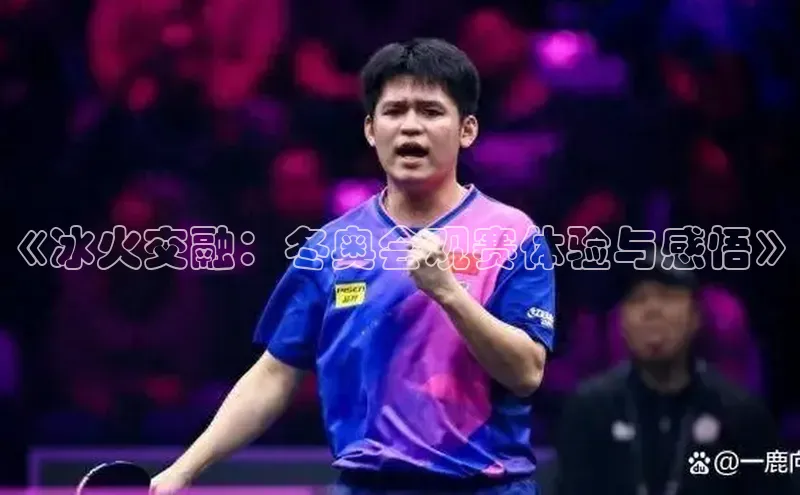 《冰火交融：冬奥会观赛体验与感悟》