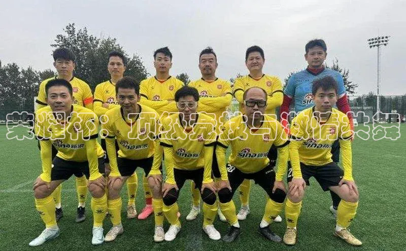 荣耀杯：顶级竞技与激情共舞