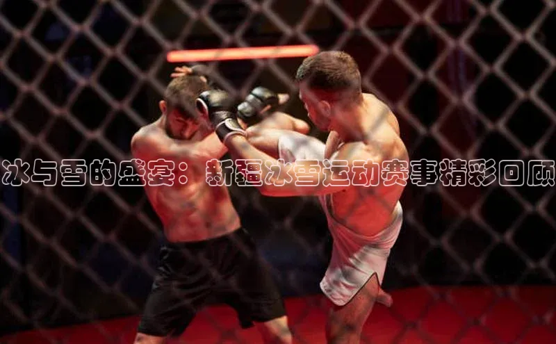 冰与雪的盛宴：新疆冰雪运动赛事精彩回顾