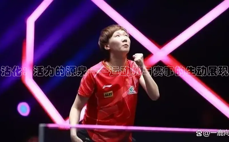 沾化：活力的源泉——运动员与赛事的生动展现