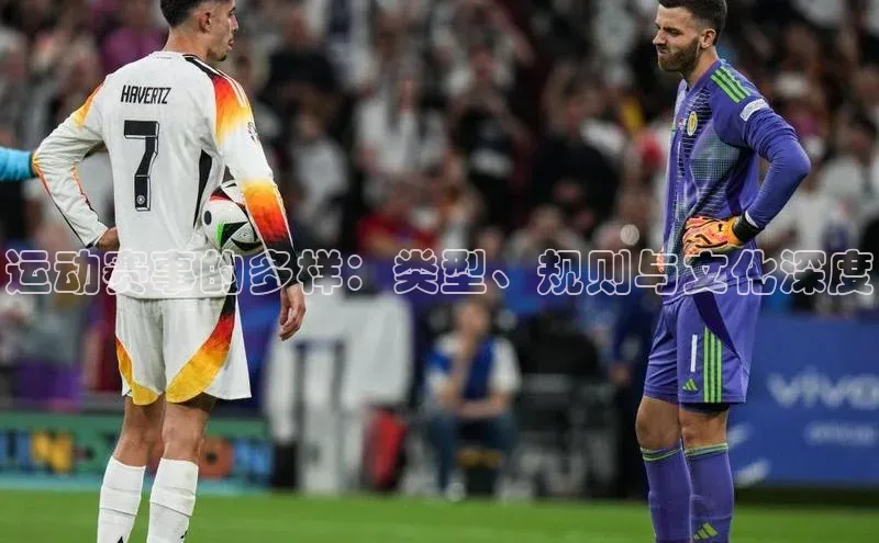 运动赛事的多样：类型、规则与文化深度