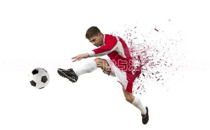 无极县运动盛事：自然与活力的双重魅力