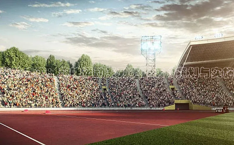 趣动未来：趣味运动系列赛事活动策划与实施
